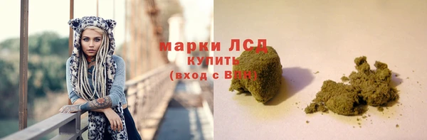 гидра Богданович