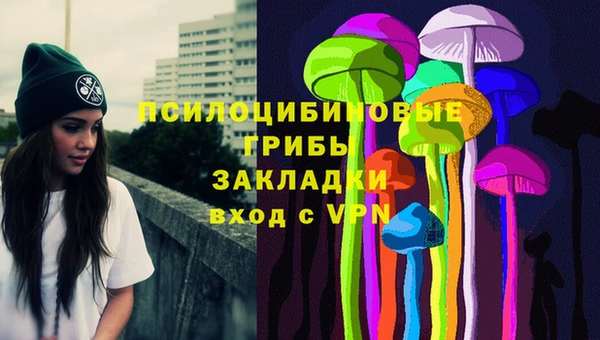 гидра Богданович