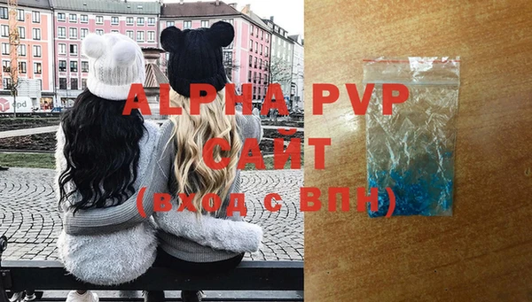 гидра Богданович